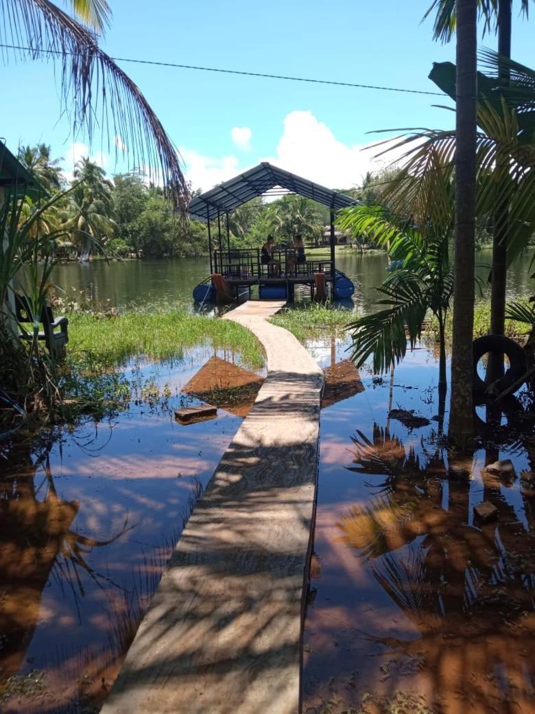 Splendid Lake View Safari Lodge Udawalawe Kültér fotó