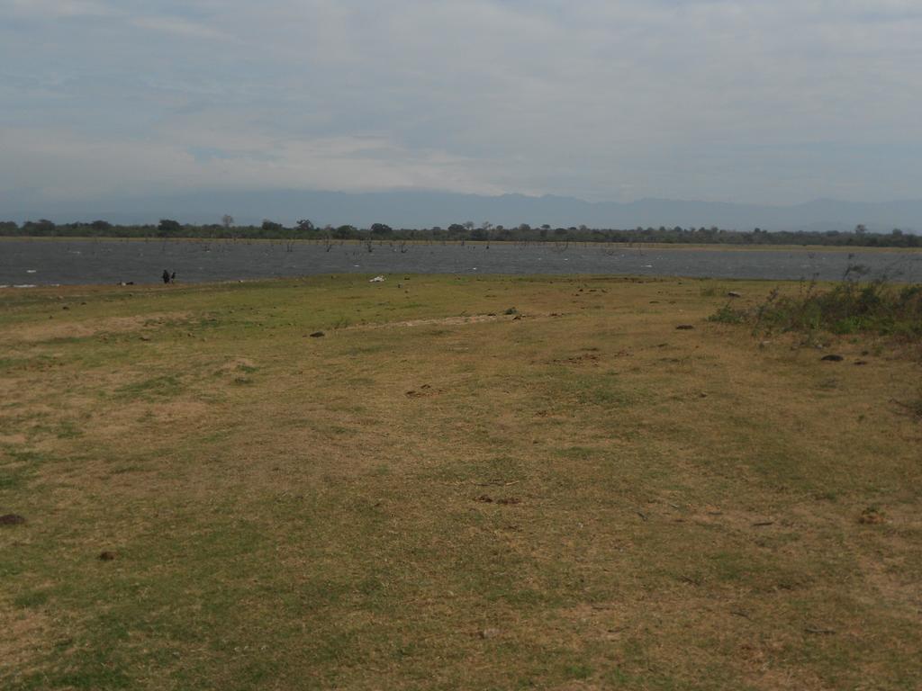 Splendid Lake View Safari Lodge Udawalawe Kültér fotó
