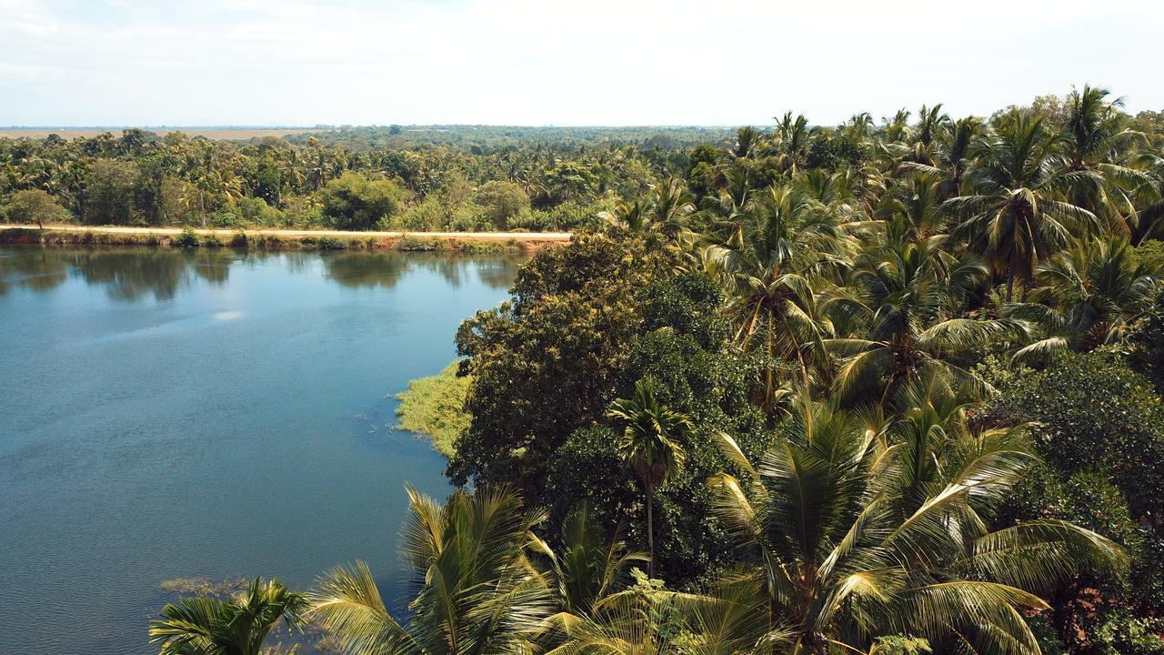 Splendid Lake View Safari Lodge Udawalawe Kültér fotó